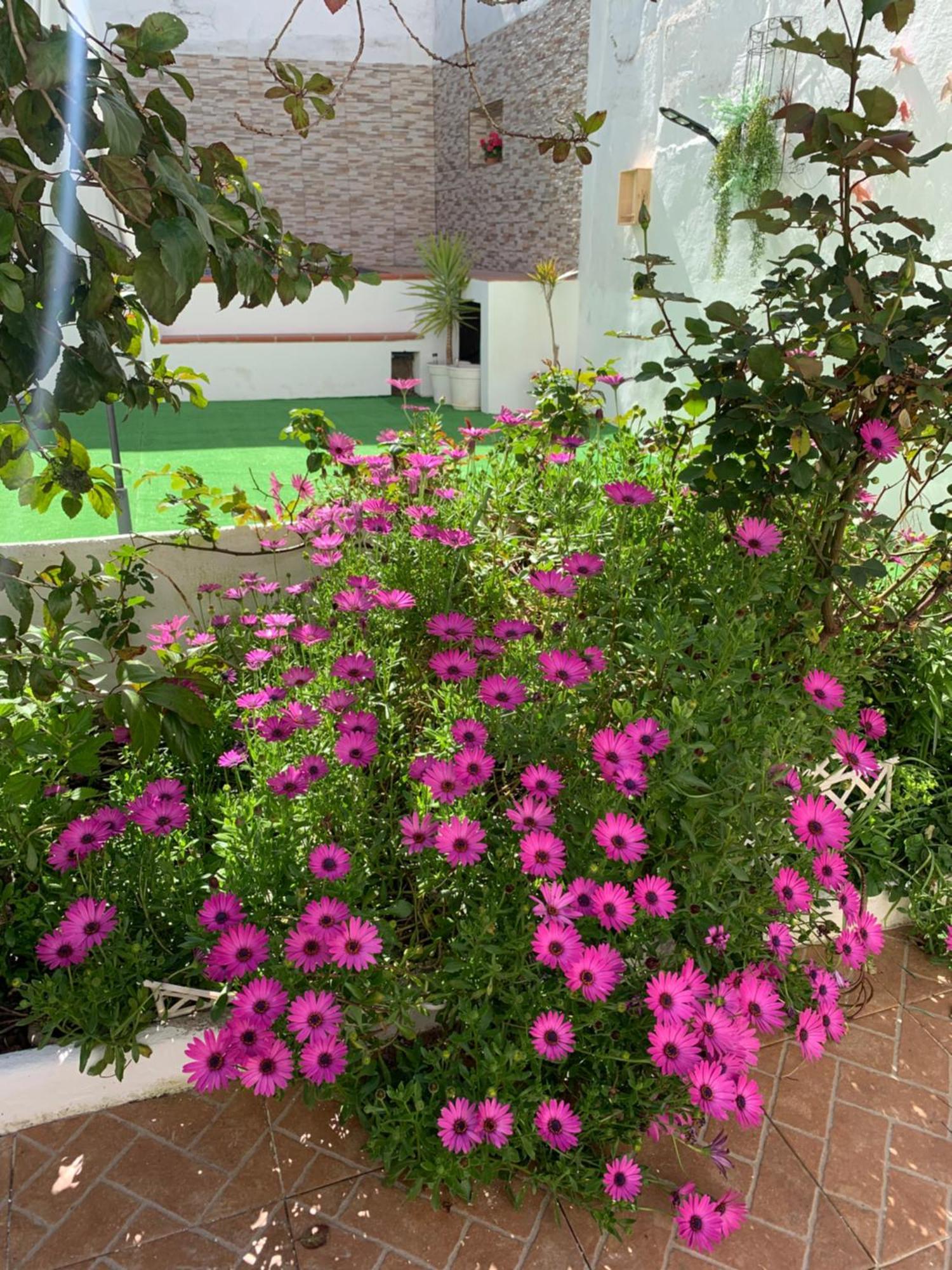 Casa Dos Tios Estremoz-Veiros Βίλα Εξωτερικό φωτογραφία